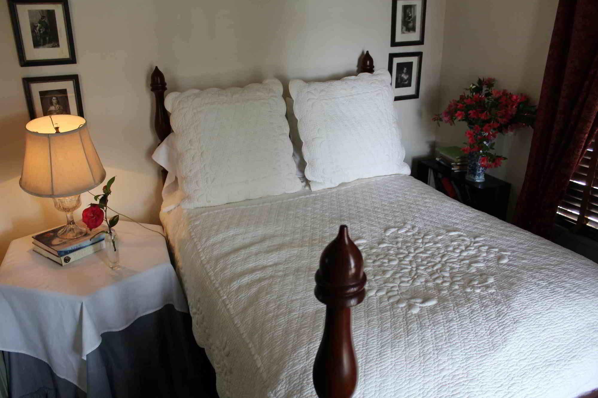 The Elms Bed And Breakfast Natchez Luaran gambar